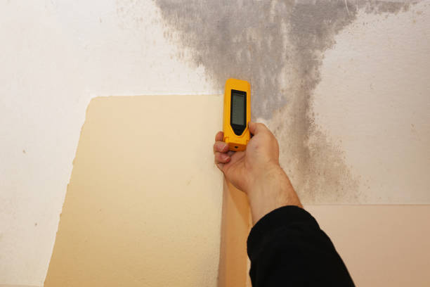 Mold Remediation for Rental Properties in El Rancho, NM