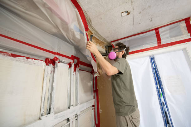 Best Comprehensive Air Testing for Mold Contaminants  in El Rancho, NM