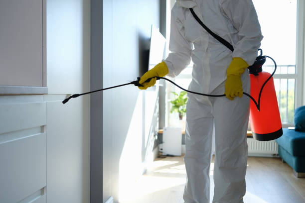 Best Biohazard Mold Removal  in El Rancho, NM