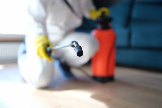 Asbestos and Lead Testing During Mold Inspection in El Rancho, NM
