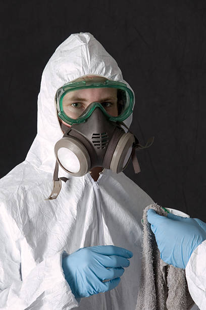 Best Black Mold Removal  in El Rancho, NM